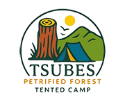 Tsubes Petrified Forrest Camp